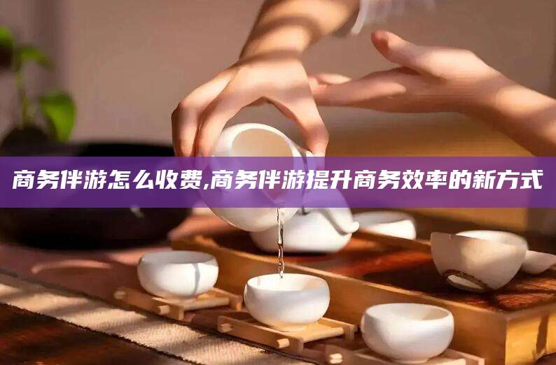 文昌商务伴游怎么收费,商务伴游提升商务效率的新方式