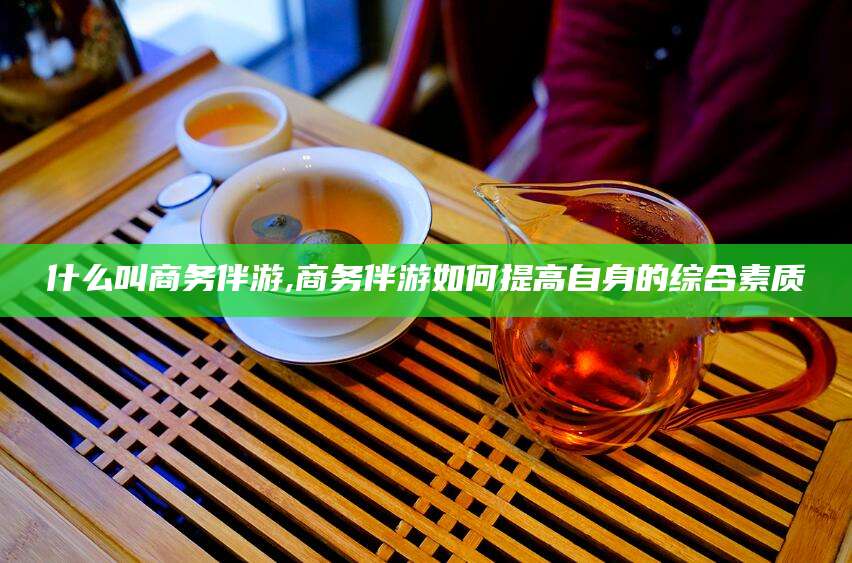 文昌什么叫商务伴游,商务伴游如何提高自身的综合素质