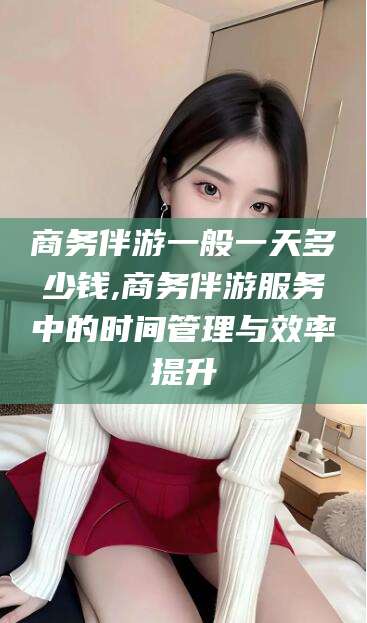 文昌商务伴游一般一天多少钱,商务伴游服务中的时间管理与效率提升